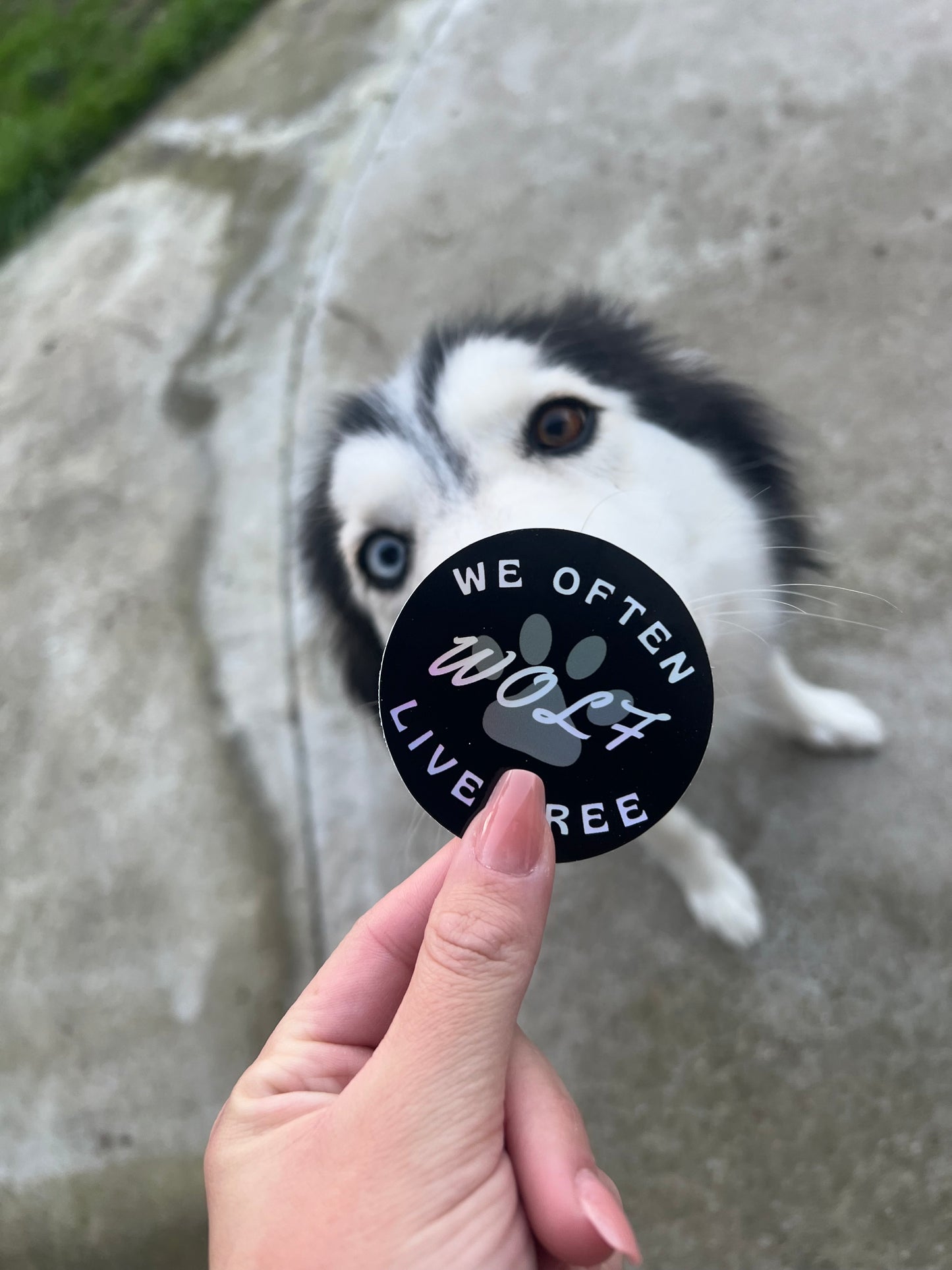 Holographic Logo Sticker
