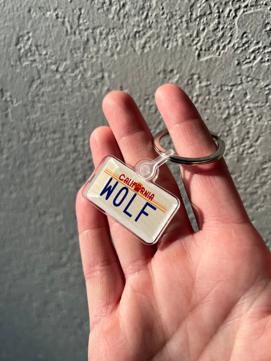 License Plate Keychain