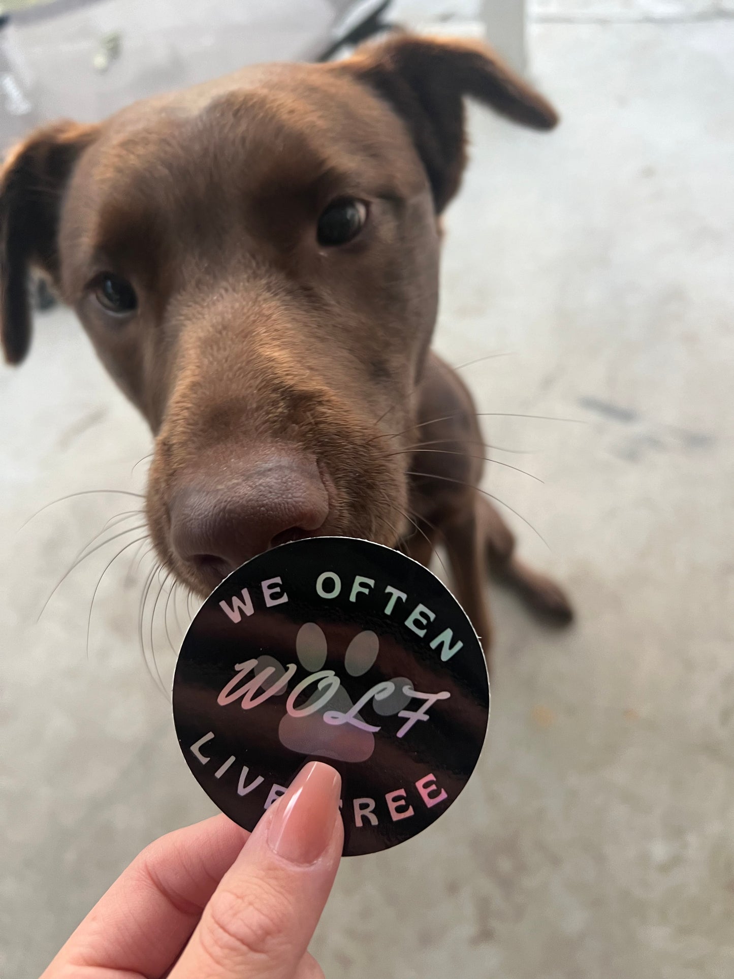Holographic Logo Sticker