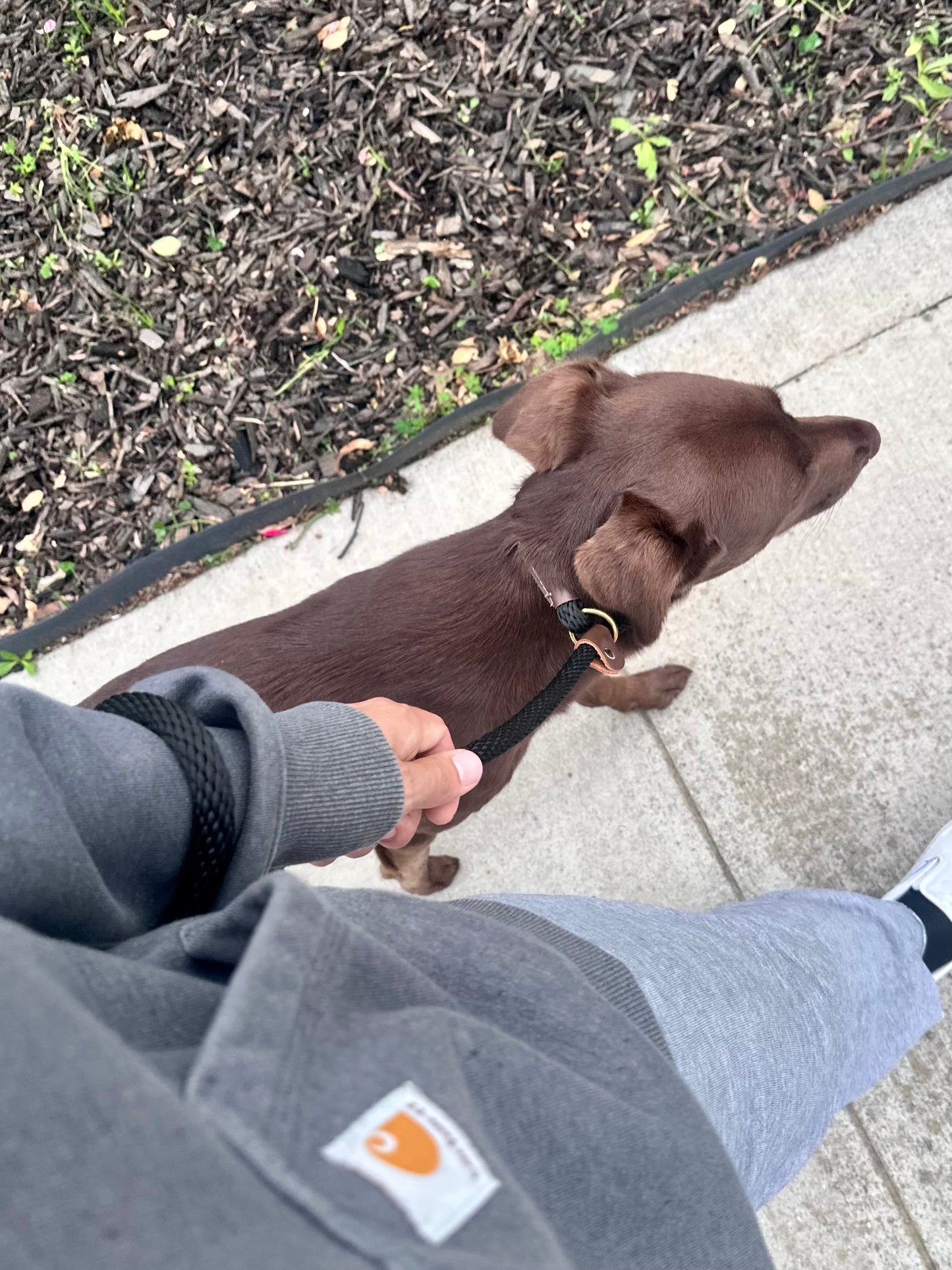 Mendota Slip Leash