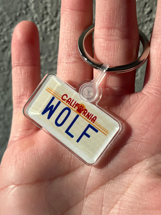 License Plate Keychain